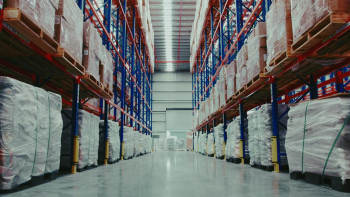 Forging Fate: The Disappearing Art Dealer (2025) download