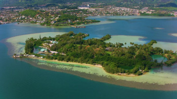 Forging Fate: The Disappearing Art Dealer (2025) download