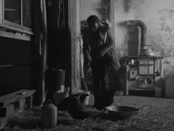 Fortuna (2018) download