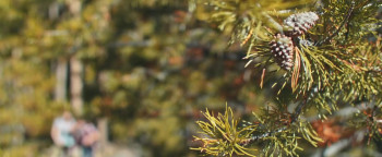 Found Wandering Lost (2022) download