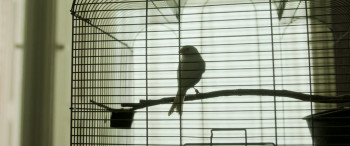 Four Letters of Love (2024) download