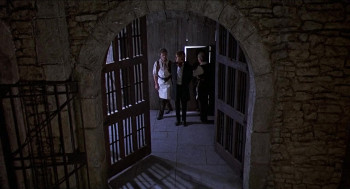 Frankenstein and the Monster from Hell (1974) download