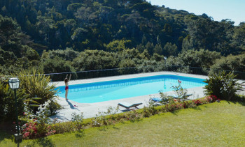 Frankie (2019) download