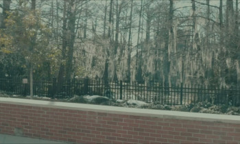 Fraternal (2025) download