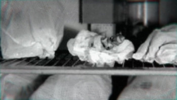 Fresh Meat: Jeffrey Dahmer (2021) download