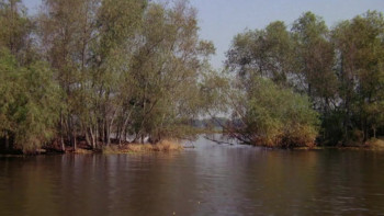 From Roger Moore with Love (2024) download