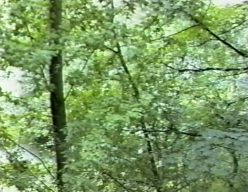 Fuck the Devil (1990) download