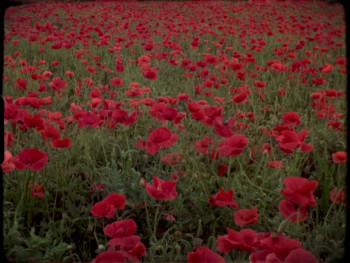 Fugitive Dreams (2020) download