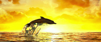 Full River Red (2023) download