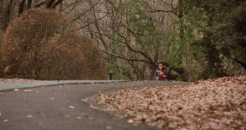 Funky Forest: The First Contact (2005) download