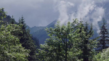 Gallagher: Sledge-O-Matic.com (2000) download