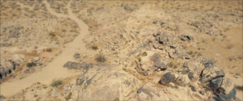 Garden of Eden (2025) download