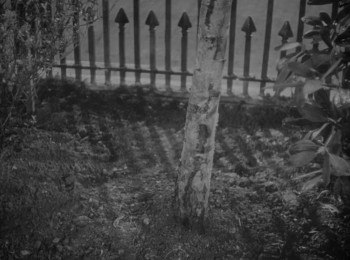 Angel Street (1940) download