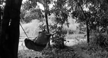 Genus Pan (2020) download