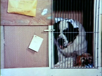 George! (1972) download