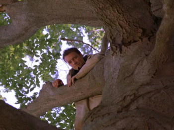 Get Down (2001) download