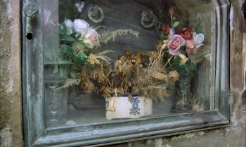 Girl with the Golden Panties (1980) download