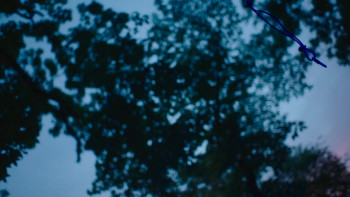 Grace by Night (2024) download