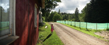 Gracie's Backyard (2017) download