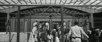 Grain (2017) download