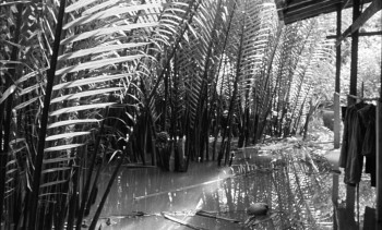 Grand Tour (2024) download