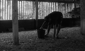 Grand Tour (2024) download