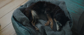 Granny Nanny (2020) download