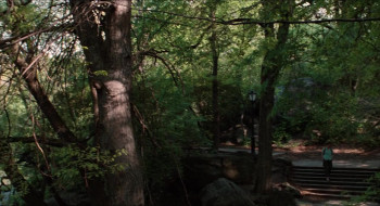 Green Card (1990) download