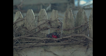 Grieve (2023) download