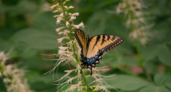 Group Therapy (2024) download