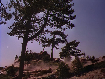 Gunsmoke (1953) download