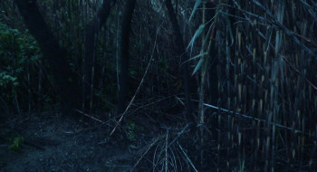 H. P. Lovecraft's the Old Ones (2024) download