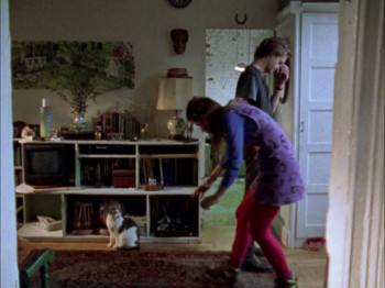 Habit (1995) download