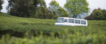 Hachiko (2023) download