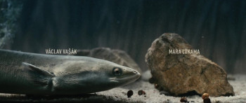 Hadí plyn (2023) download