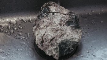 Hálfur Álfur (2020) download