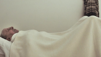 Hálfur Álfur (2020) download