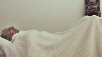 Hálfur Álfur (2020) download