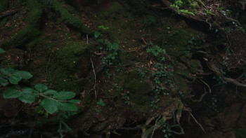 Hamnet (2025) download