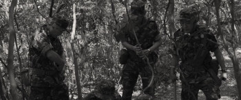 Hand Rolled Cigarette (2020) download