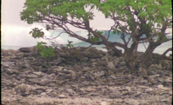 Hangs Upon Nothing (2014) download