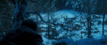 Harbin (2024) download