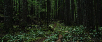 Harmony Falls (2022) download