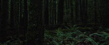 Harmony Falls (2022) download