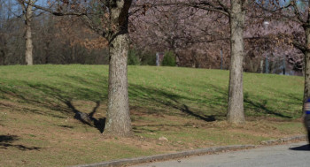 Harold and the Purple Crayon (2024) download