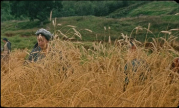 Harvest (2024) download