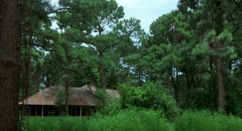 Heaven's Prisoners (1996) download