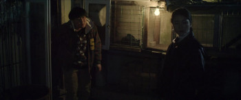 Height of the Wave (2019) download