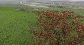 Kogitsune Heren (2006) download