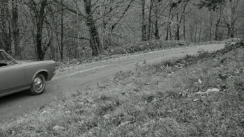 Hellvira's Haunted Asylum of Horror (2024) download